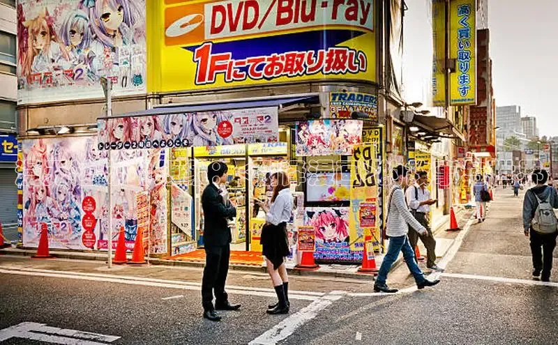 51动画网页版官网