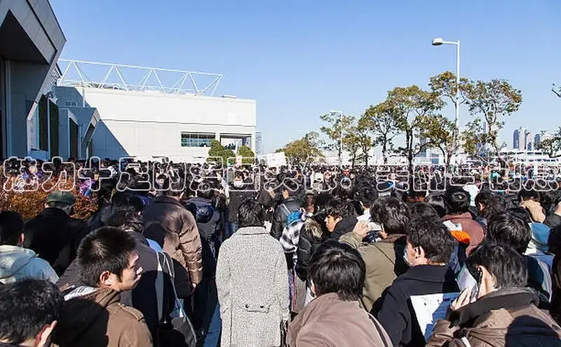 51动漫官网官方进入版本网页在线